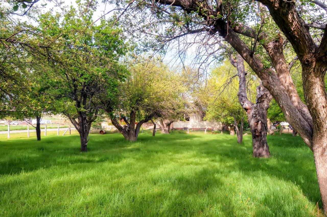 Charming Tropic Home By A Farm Near Bryce Canyon! 외부 사진